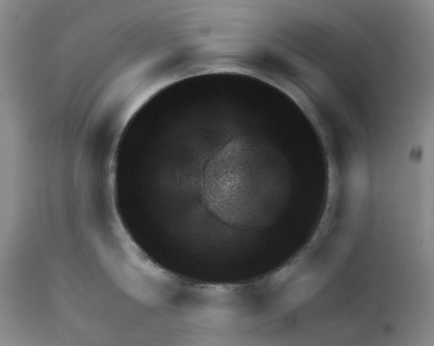 X0000111940814200908241139