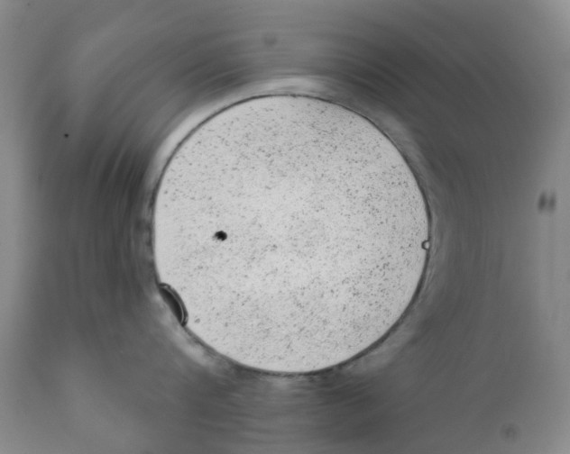 X0000111940816200908241139