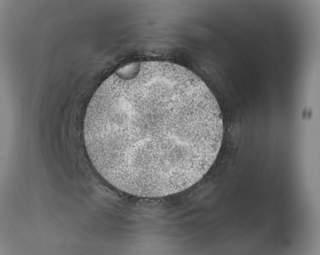 X0000111940817200908241138