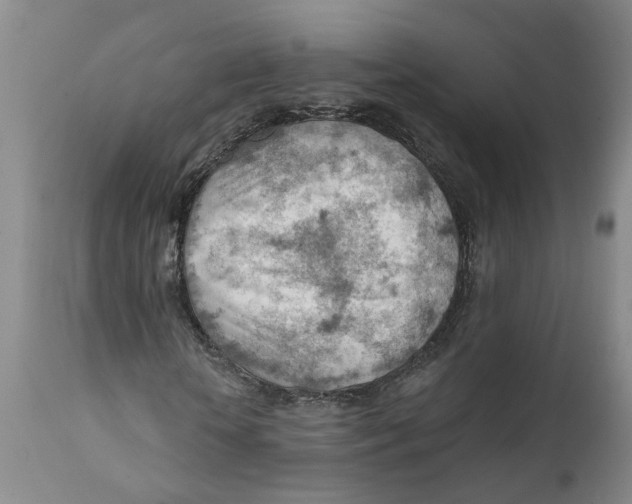 X0000111940818200908241138