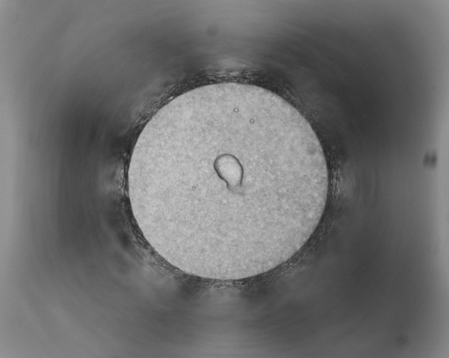 X0000111940820200908241138