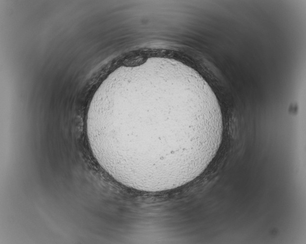 X0000111940821200908241138