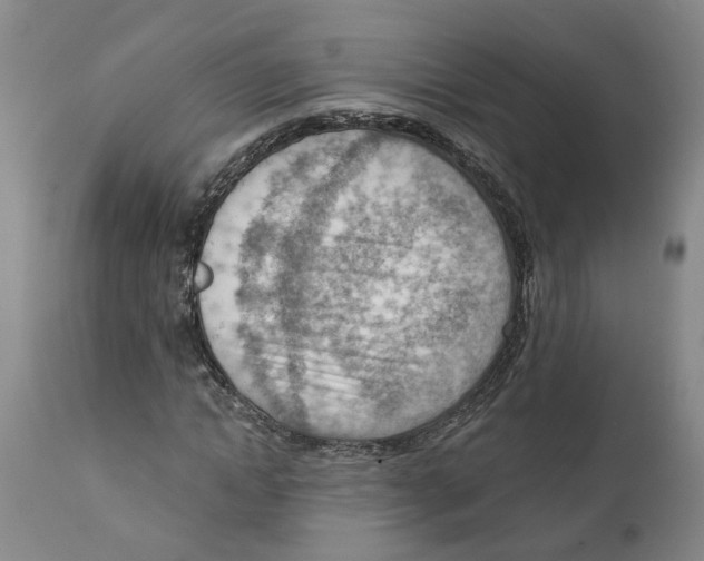 X0000111940822200908241138