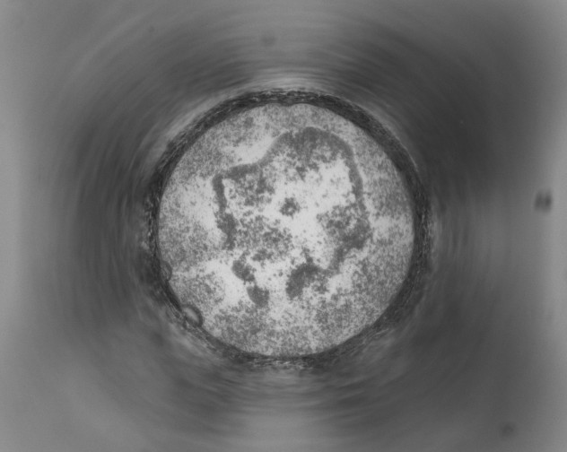 X0000111940823200908241138