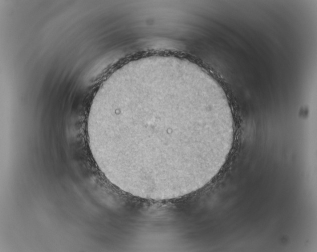 X0000111940824200908241138