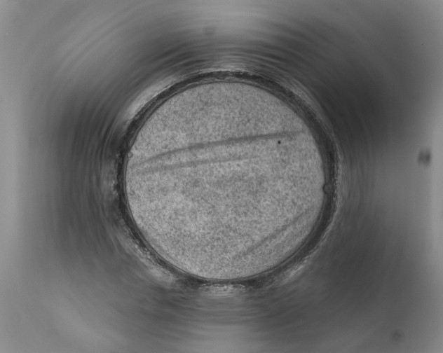 X0000111940826200908241138