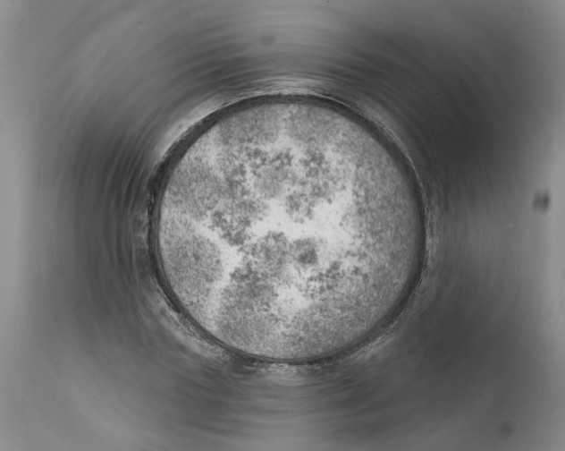 X0000111940827200908241138