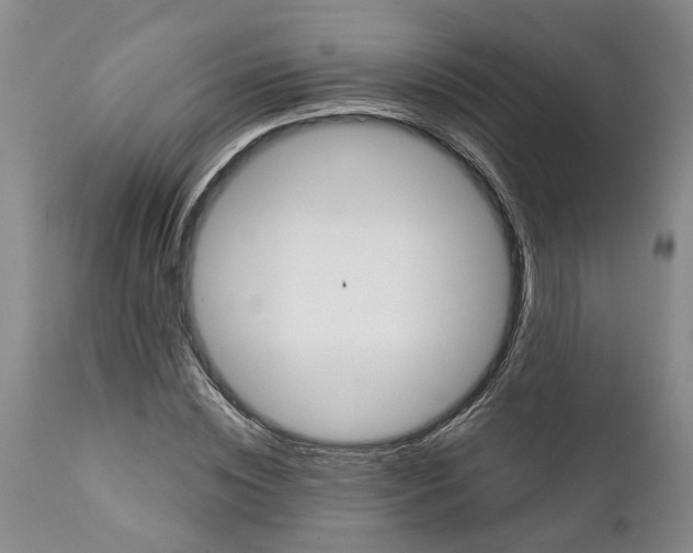 X0000111940828200908241138