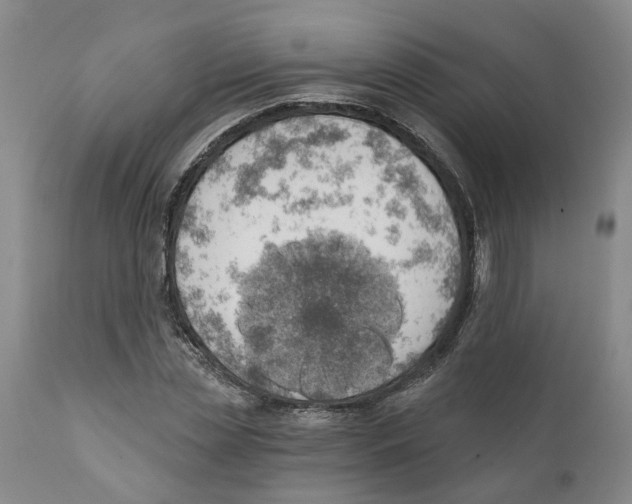 X0000111940829200908241138