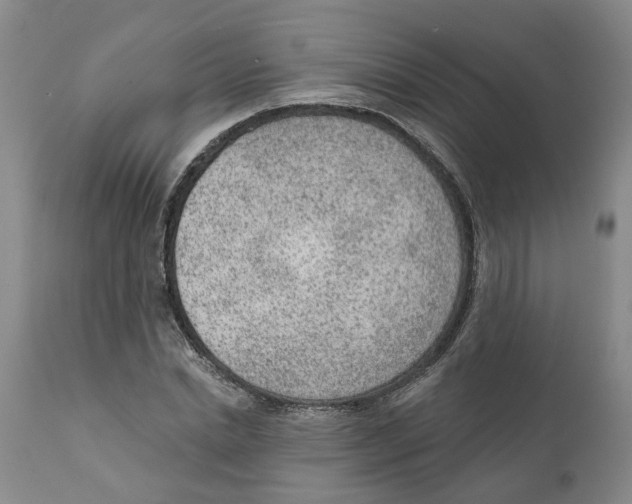 X0000111940830200908241138