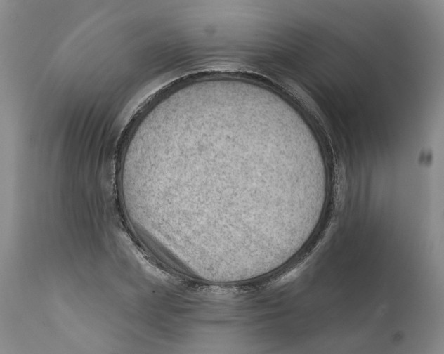 X0000111940831200908241138