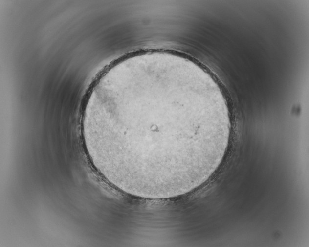 X0000111940832200908241138