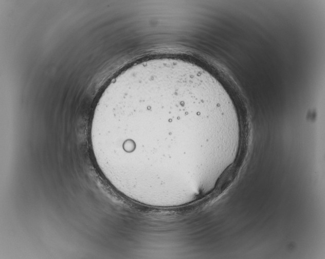 X0000111940833200908241138