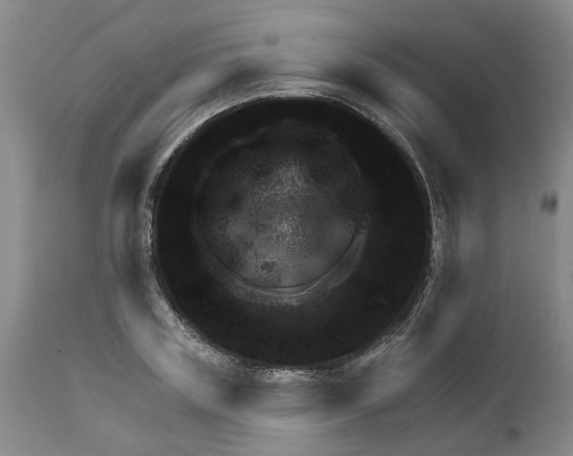 X0000111940835200908241138