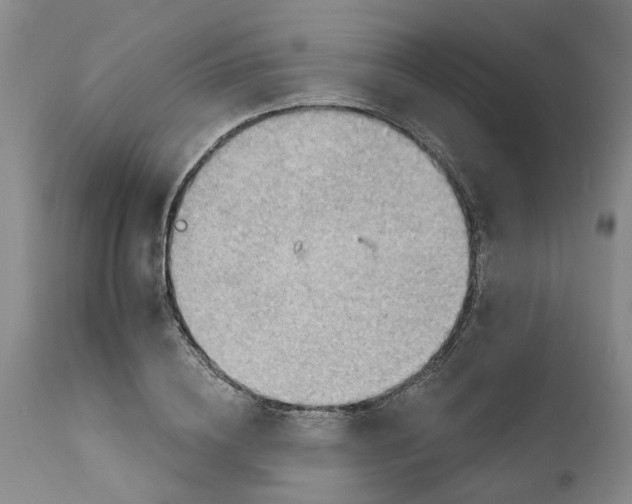 X0000111940836200908241138