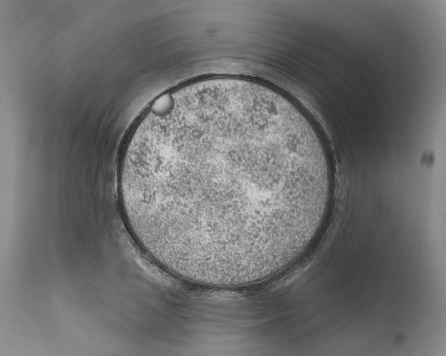 X0000111940837200908241138