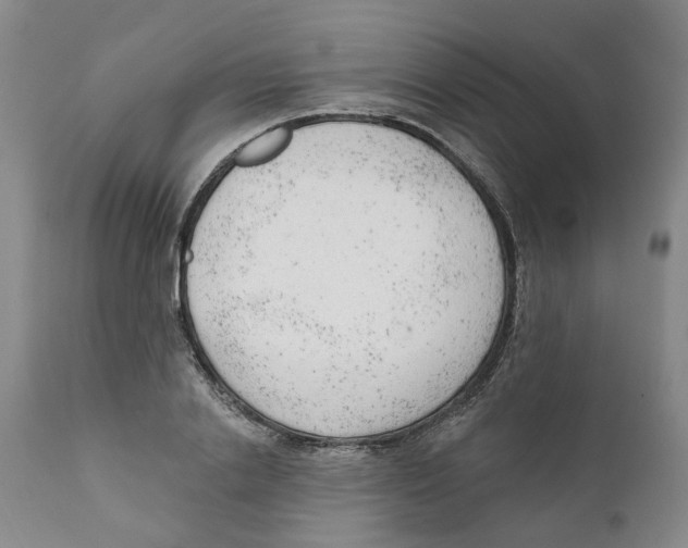 X0000111940838200908241138