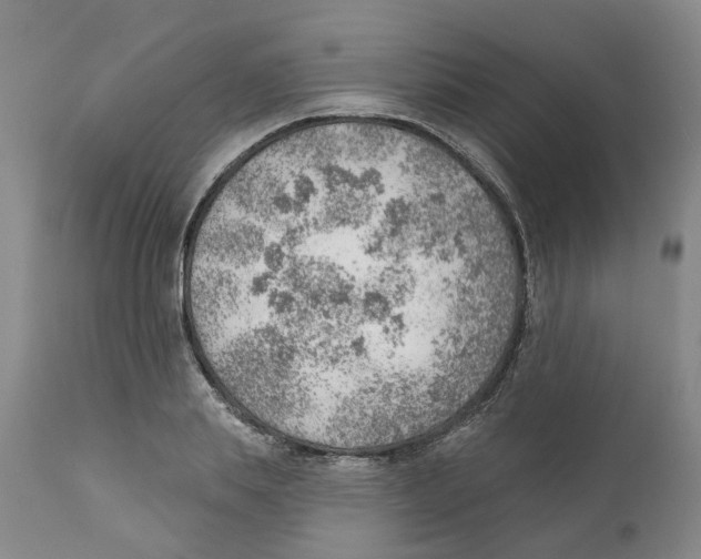 X0000111940839200908241138