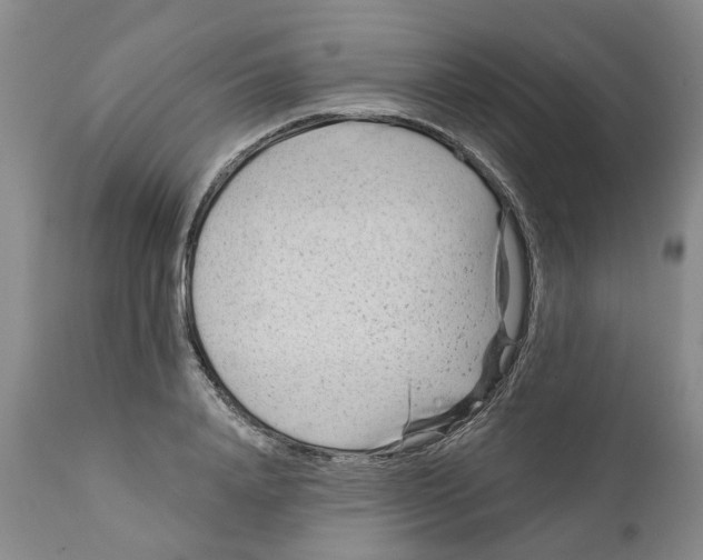 X0000111940840200908241138