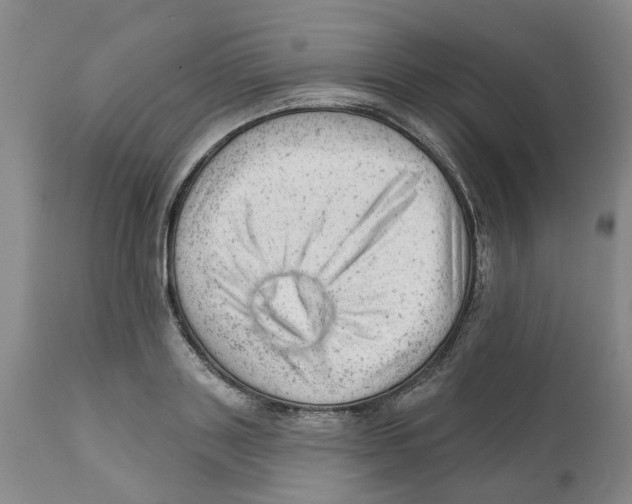 X0000111940843200908241139