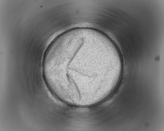 X0000111940845200908241139
