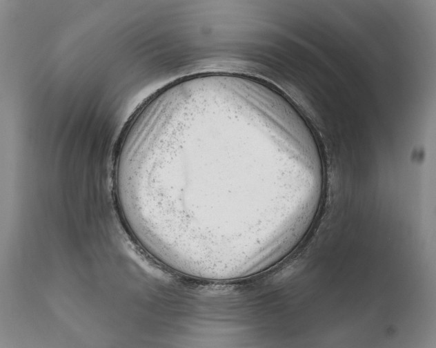 X0000111940846200908241139