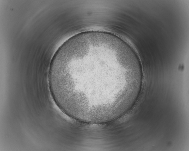 X0000111940847200908241139