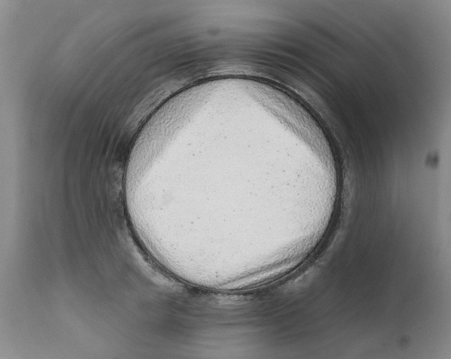 X0000111940849200908241139