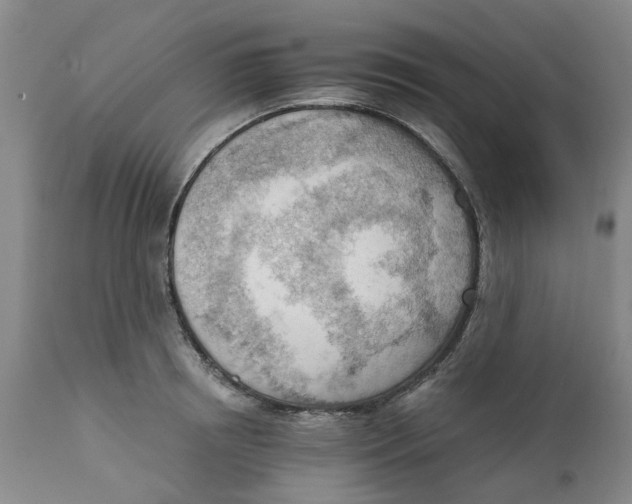 X0000111940850200908241139