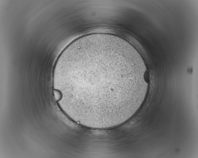 X0000111940852200908241139