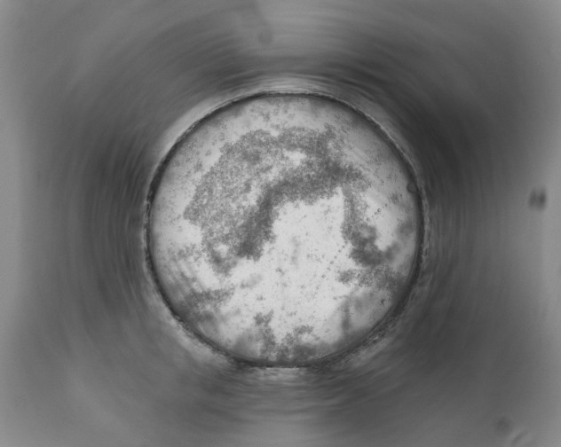 X0000111940853200908241139