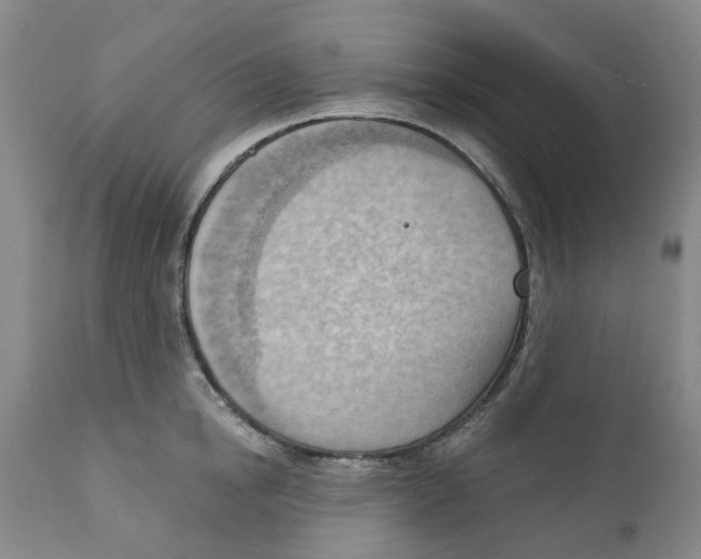 X0000111940854200908241139