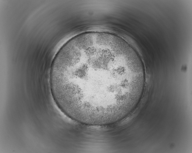 X0000111940855200908241139