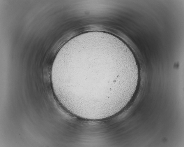 X0000111940857200908241139