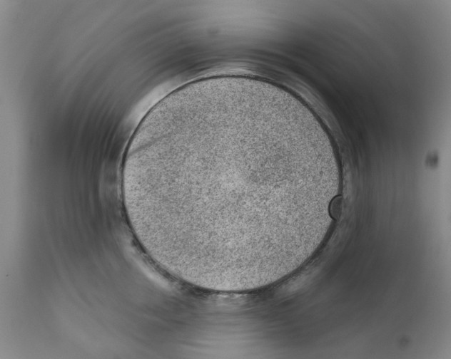 X0000111940858200908241139