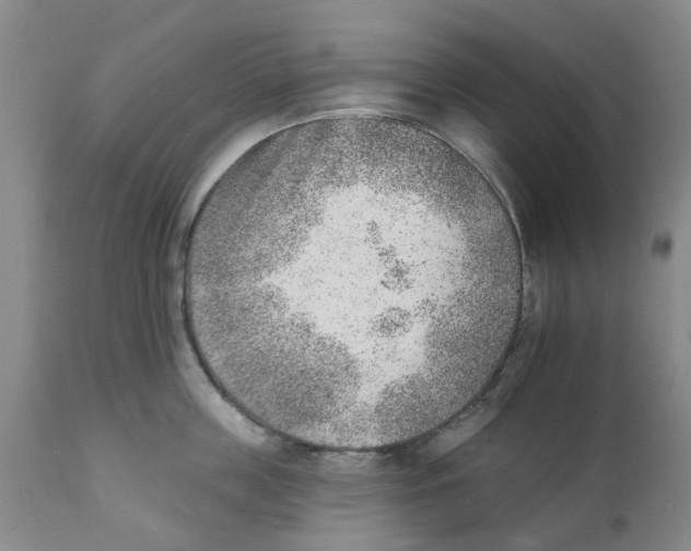 X0000111940859200908241139