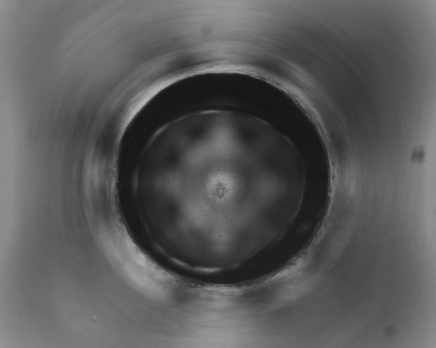 X0000111940860200908241139