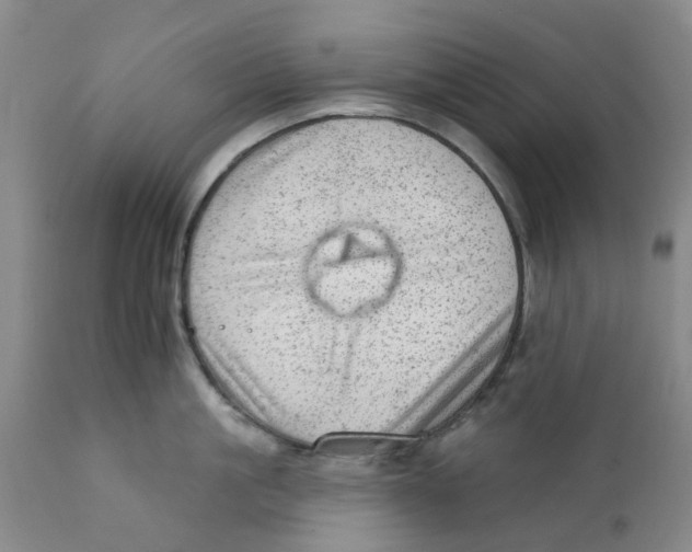 X0000111940861200908241139