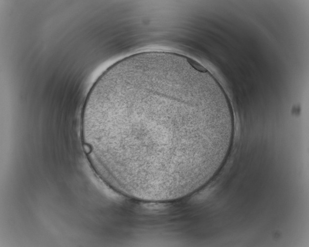 X0000111940862200908241139