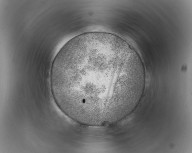 X0000111940863200908241139