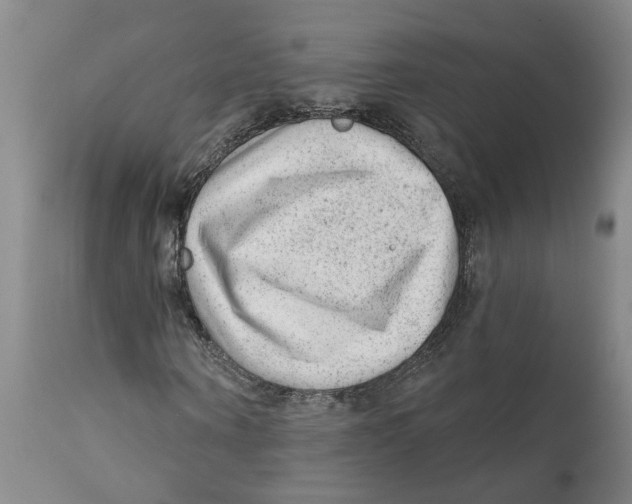 X0000111940866200908241138