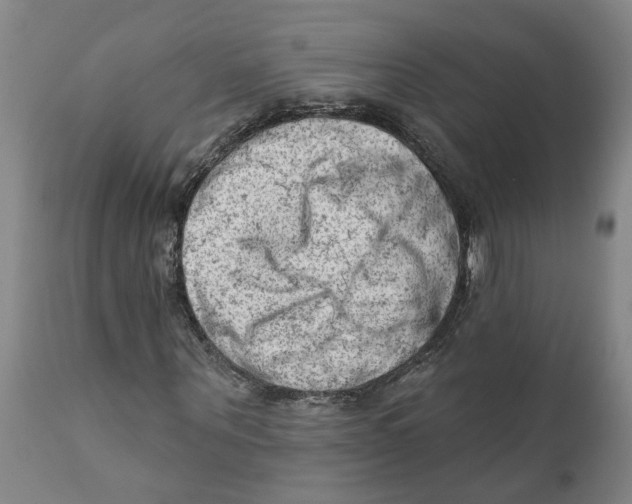 X0000111940867200908241138