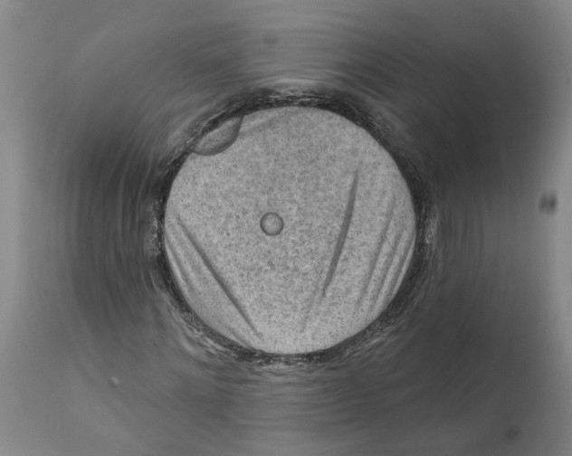 X0000111940868200908241138