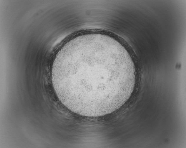 X0000111940871200908241138