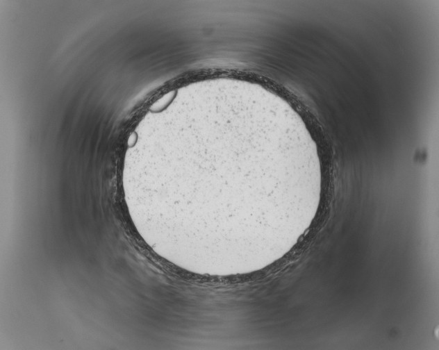 X0000111940872200908241138