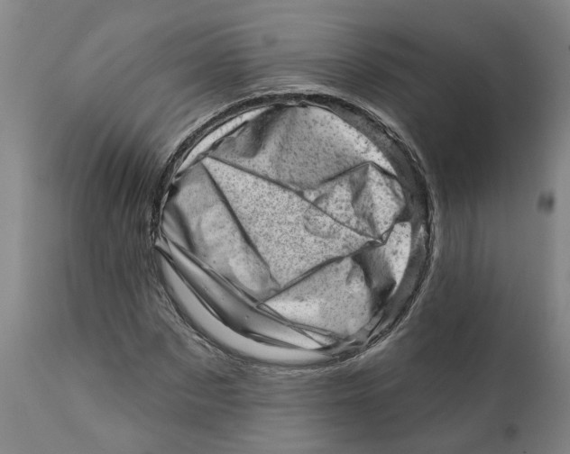 X0000111940873200908241138