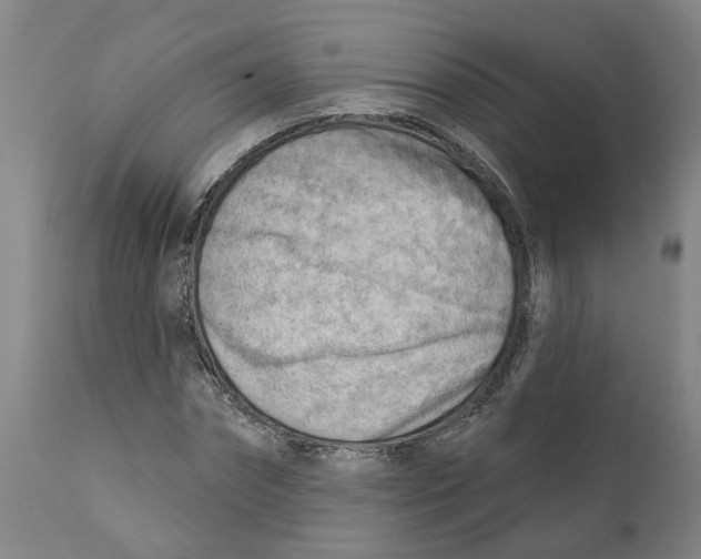 X0000111940874200908241138