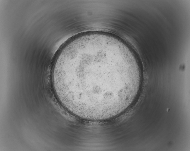 X0000111940875200908241138