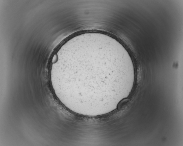 X0000111940876200908241138