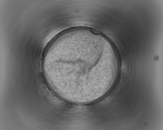 X0000111940877200908241138